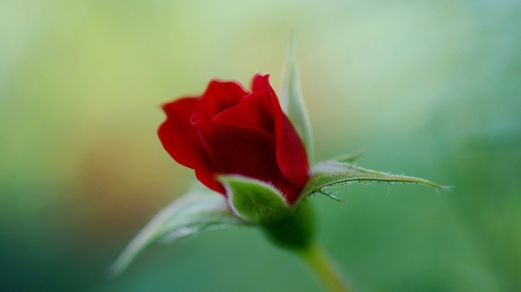 17ea8f67e389c72efec408964bbc5b00.jpg