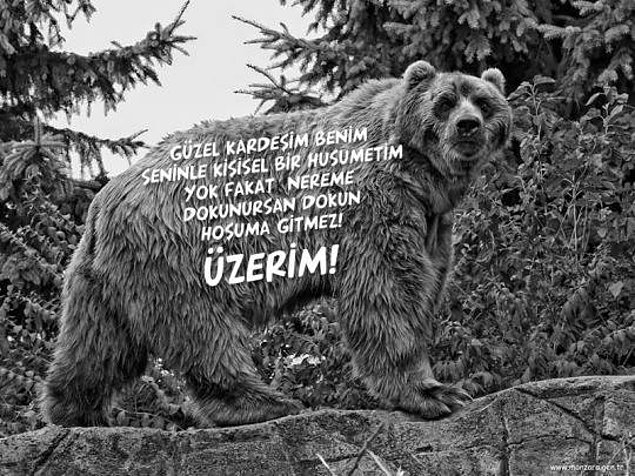 f04280d2001c875b5cb2858fb1d5d0a2.jpg