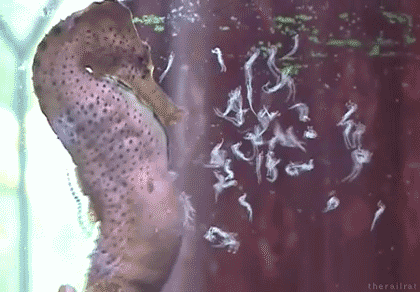 5b1227b62dbc3687c664230609d912d6.gif