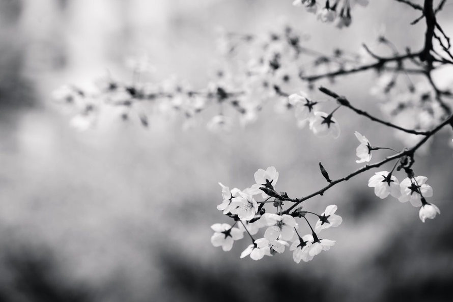7006a1387018319d0a713575ec18c5b4.jpg