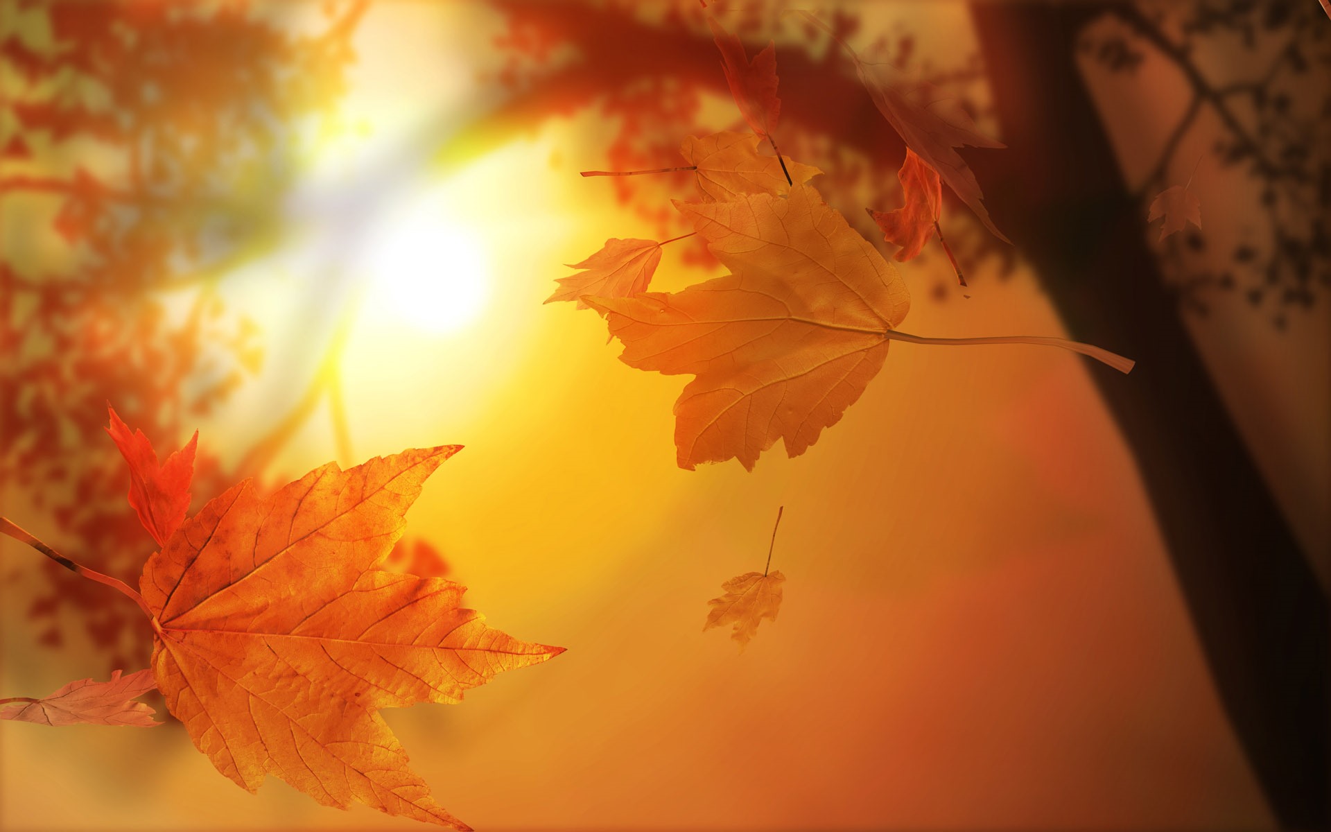 a926b61af71fa900d9add3b8349bb05d.jpg