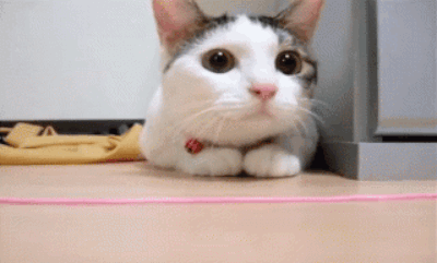3d767184ea4353f9ee70ff81aef85c5d.gif