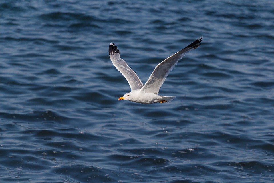d7555e09a6b9d79fea6ac65194cc6846.jpg