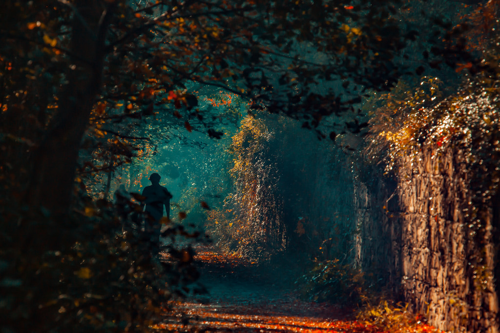 Görmeye Değer 20 Yer