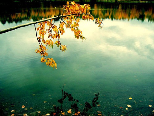 7c9f68ae03476f111adee830ff1b0f8b.jpg