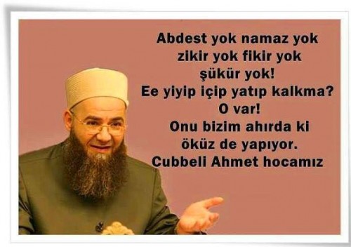 10382819 10152948179824868 8244794443344439212 n