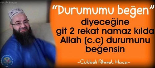 10354597 10152948180374868 6357909492425476552 n