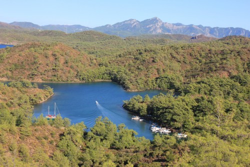 6225293567 9c2924c8bf b