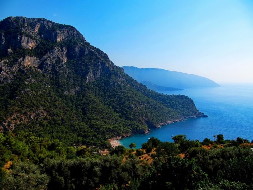 4986802370 6ee204f302 b