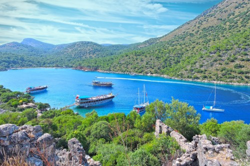 28363956824 d41ccb7066 b