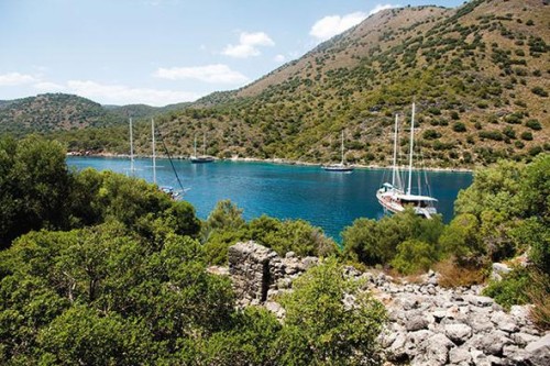 57c0424d0f25443e60910a17