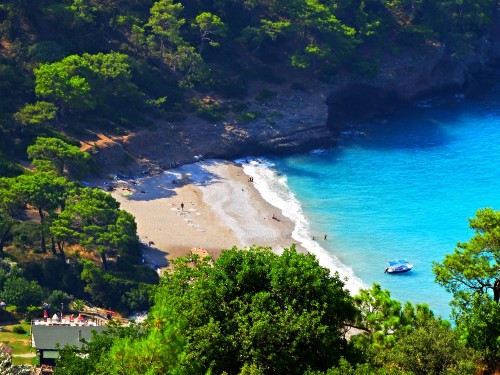 15185806730 6b40d4a89d k