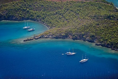 57c0424d0f25443e60910a20