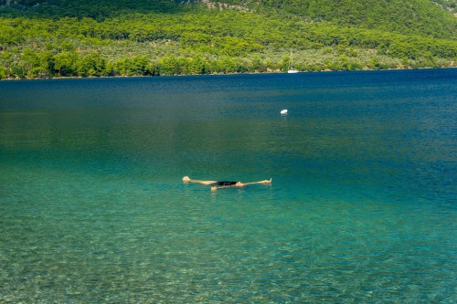 22010238348 7b862291ef b