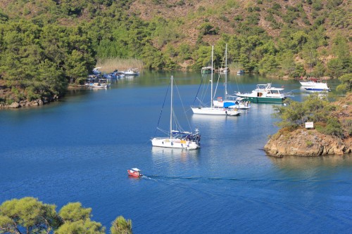 6175448172 1314ca01c5 b