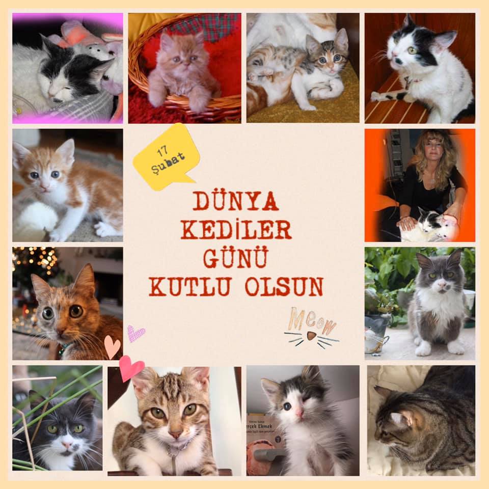 Dnya Kediler Gn 17 ubat