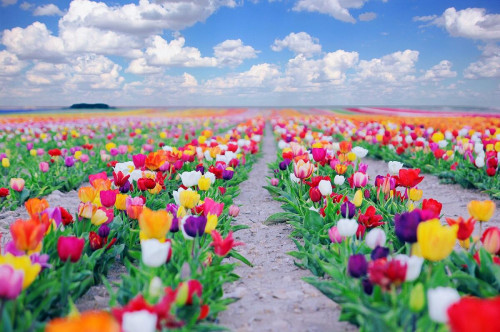 58f9ec33c03c0e0784d57b05