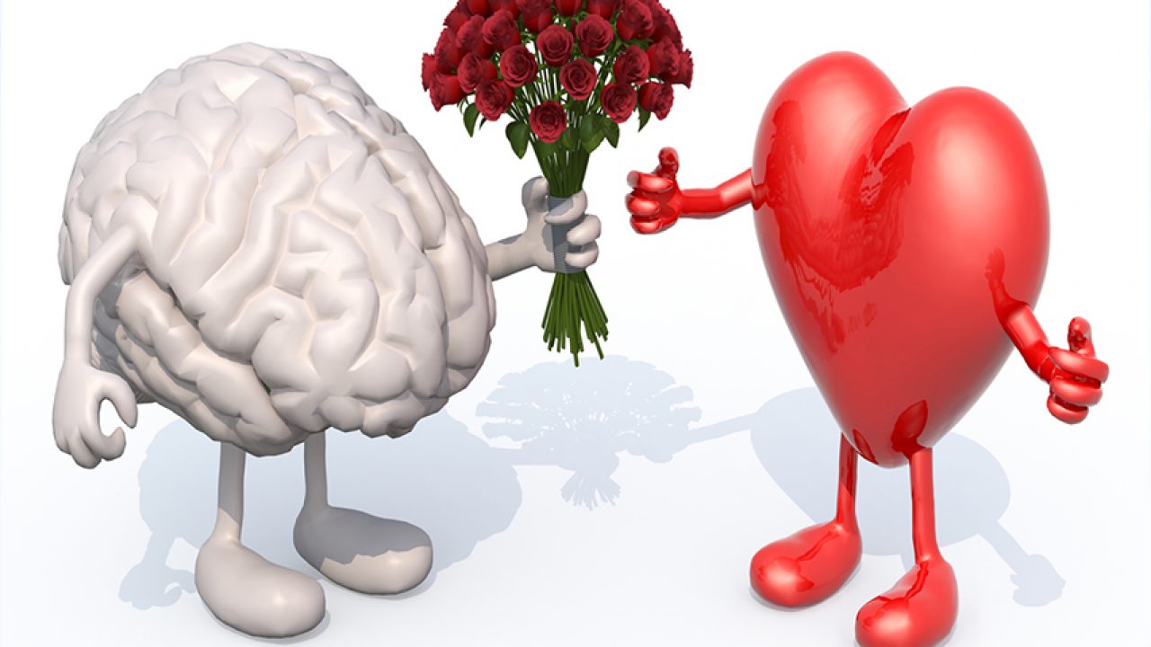 гармония ума и сердца. ум и сердце. ум и сердце. ум и сердце. ум и сердце.