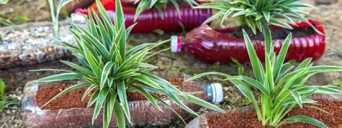 geri donusum fikirleri 2