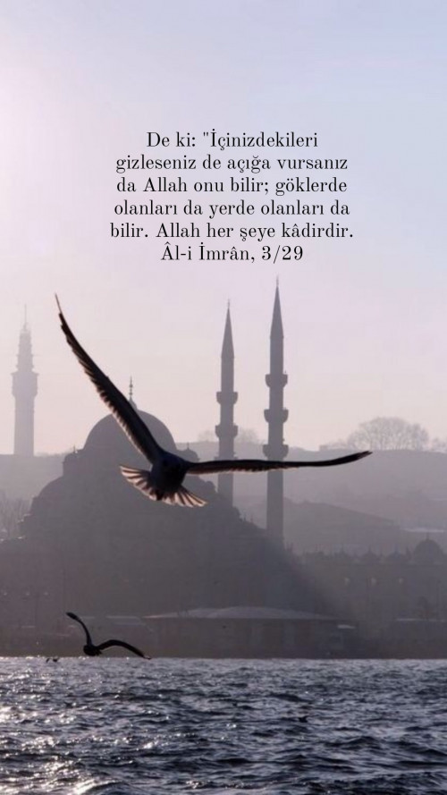 tumblr 3e65fb27acb94e6671cd62720c4a9b6b 9437ae14 1280