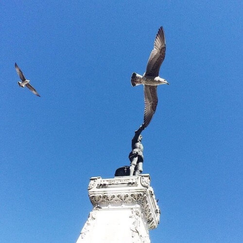 432228473 1123741548675848 710113314002076088 n