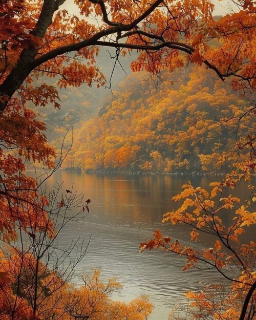 tumblr 11c3fd26f3ce0593d71abf0854b7babb f8888d30 1280