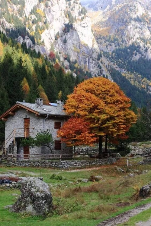 tumblr 405896a7f866ba9e5f2e8a363c071f93 ac5699a3 640