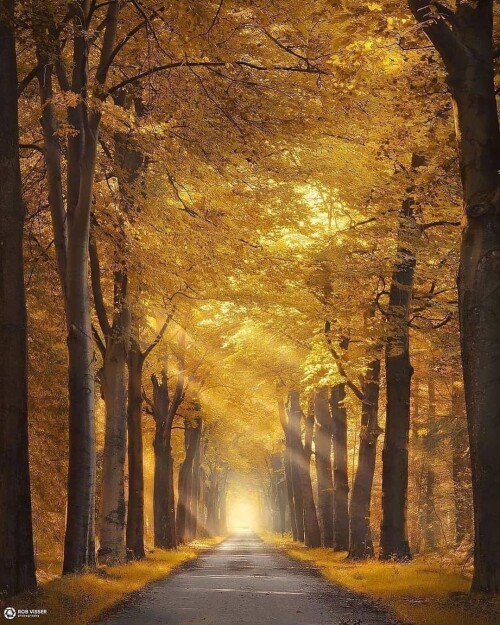 tumblr 4750a97a281de98aae58e6af93f05d9f 05b72619 1280