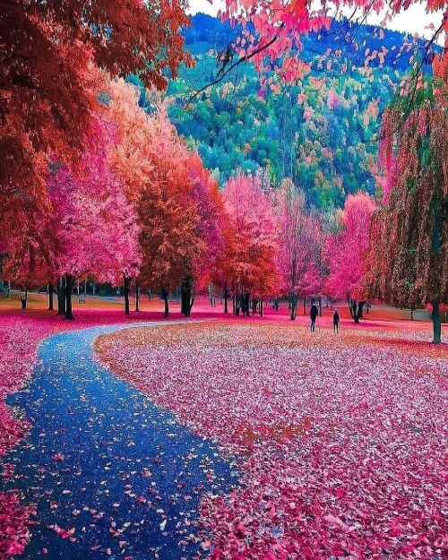 tumblr 4c6fff4c69c2139a946903d77930a138 c6d47fa8 1280