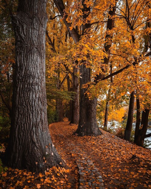 tumblr 5d528ac0f80fbbcc237b79d491041668 0ec75fb1 1280