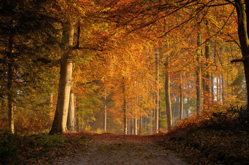 tumblr 78ab1bfc94e82253dc855d0048e05a46 933cb5bd 1280