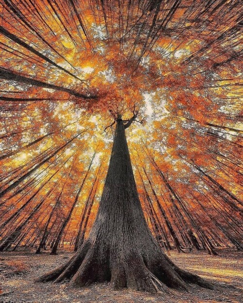 tumblr 8cb6ae5b5f03cc538a564894e3fb1f23 950d8f85 1280