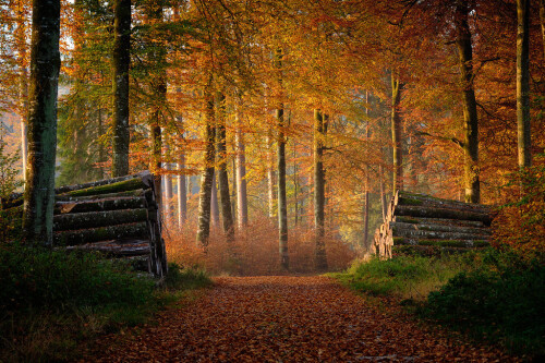 tumblr c54364311b2d710205208daecec7b982 e0e742ac 1280