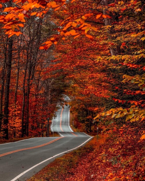 tumblr df30ad08820ff7de70cce0dba6679791 942b1b57 2048