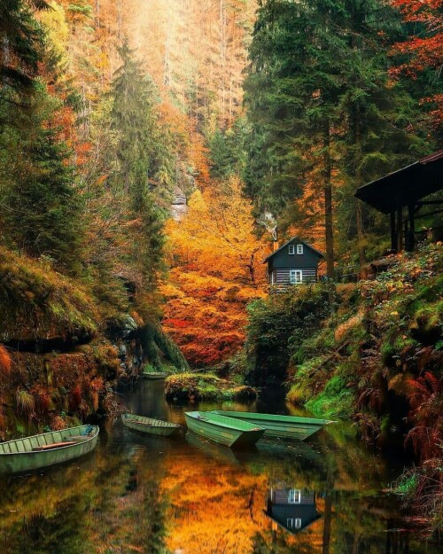 tumblr 6d1525feca16bce6fbb541dae118e51f fd6a085f 1280