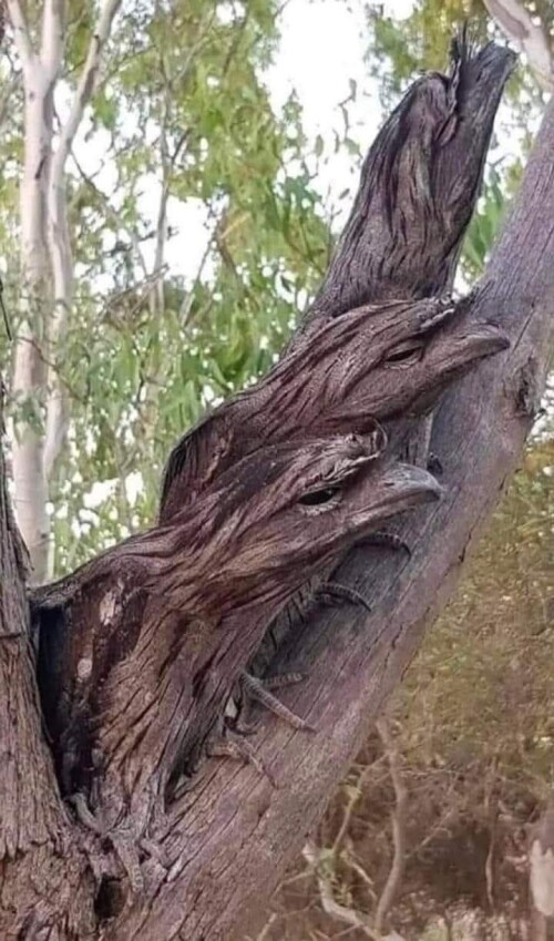 476828971 3916361575242307 3796569719477941124 n