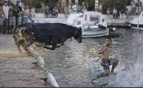 469752079 8760302977424348 7605524088925154063 n