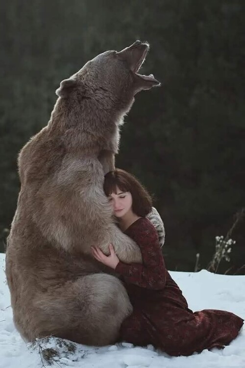 488630917 993318656315847 3216751877365319570 n