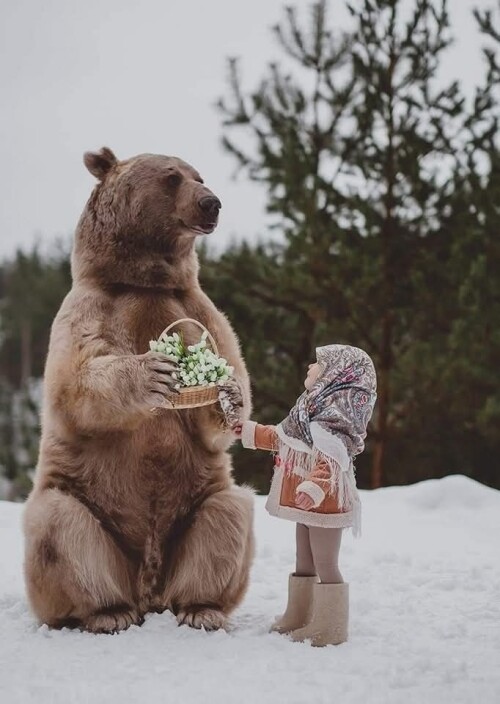 487929595 993318416315871 4733944120096938249 n