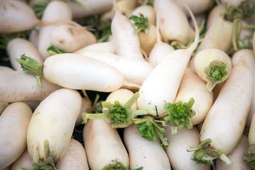 japon turpu 63a42ecde9fbf