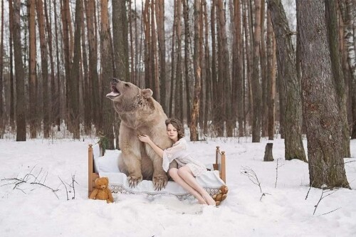 488619134 993318349649211 4658214716405831770 n