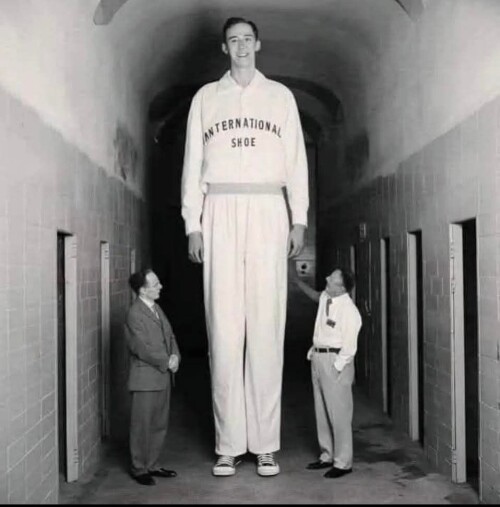 494277415 122177398904327609 447125712309531780 n