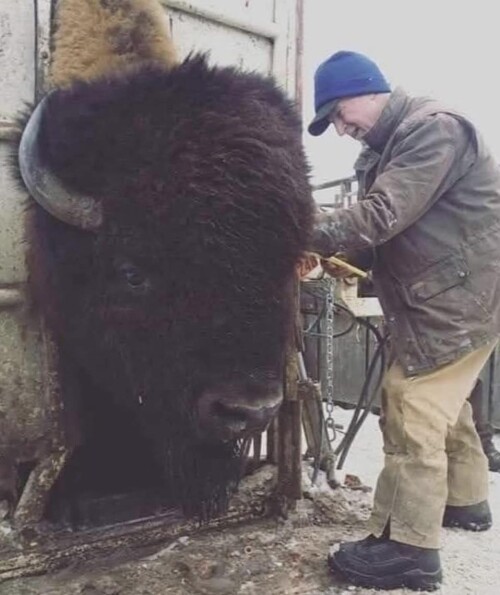 493693989 9531757230253881 9159187875012855225 n