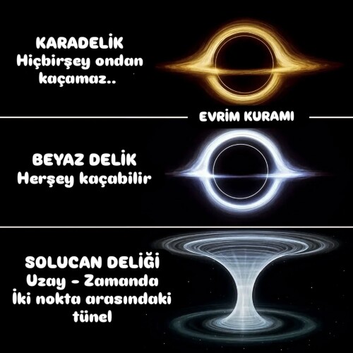 500083856 17863578042403301 430561201494471126 n