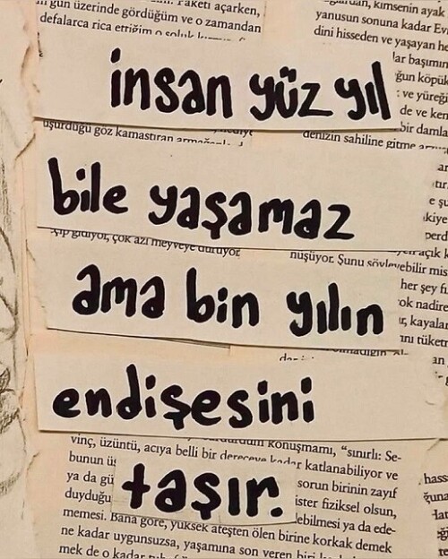 tumblr 9c9d132bcfde471e263e24de7d9f56bc b2679191 1280