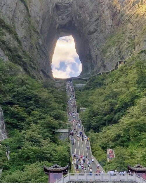 501557651 1417581815945716 6396306867375032412 n