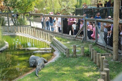 darica hayvanat bahcesi nerede giris ucreti 2024 171656782722121 1716567827