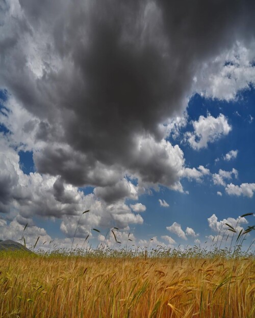 tumblr b2ff6a3fe02a7c8e3fa2bf48e62d12e9 edbe1e14 1280