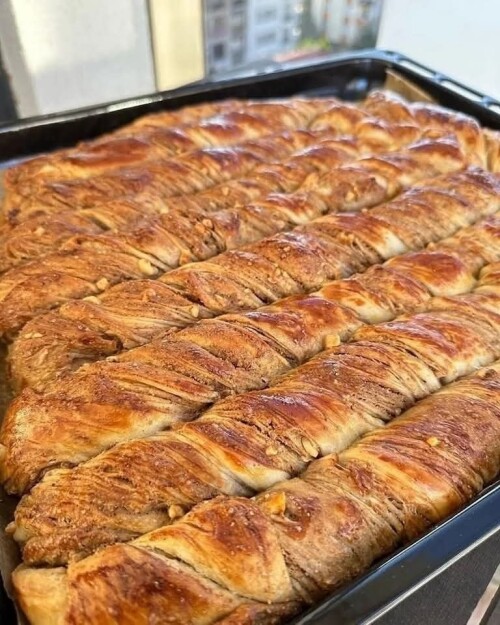 518716382 1049888147255585 8410366628858941505 n