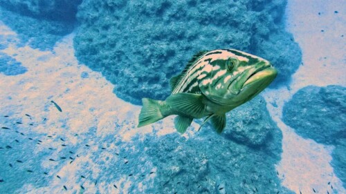 tumblr 96cb9068d25ab8b0f2d74a77042944cd 5c03b40a 1280